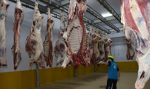 Kocaeli Büyükşehir Belediyesi, modern donanımlı mezbahasıyla kentte sağlıklı ve güvenilir