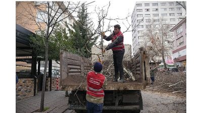 Keçiören Belediyesi tarafından park ve yeşil alanlardaki bakım çalışmaları kış