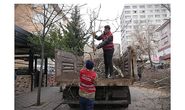 Keçiören Belediyesi tarafından park ve yeşil alanlardaki bakım çalışmaları kış