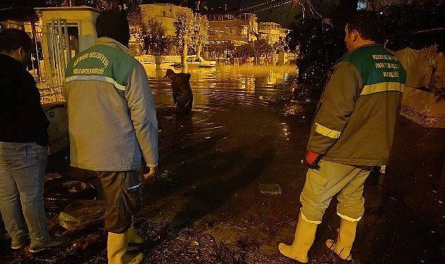 Kemer Belediyesi Fen İşleri Müdürlüğü, Temizlik İşleri Müdürlüğü ve Park