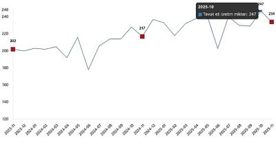 Tavuk eti üretimi 233 bin 887 ton, tavuk yumurtası üretimi