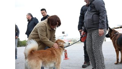Didim Belediyesi tarafından Mavişehir Mahallesi’nde halkın yaşam kalitesini artırmak amacıyla