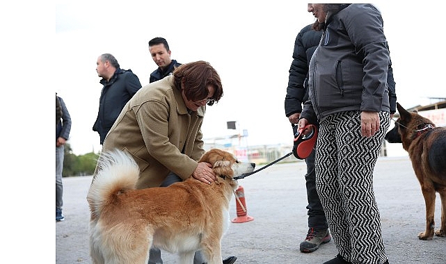 Didim Belediyesi tarafından Mavişehir Mahallesi’nde halkın yaşam kalitesini artırmak amacıyla