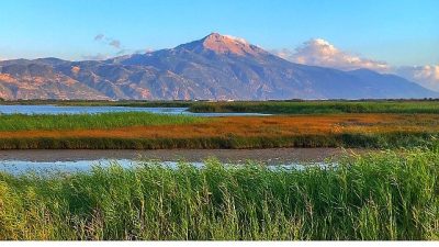 Türkiye’nin en çok kuş türü kaydedilmiş sulak alanlarından biri olan