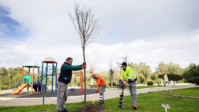 Narlıdere Belediyesi, ilçenin dört bir yanında sürdürdüğü çevre düzenlemesi ve