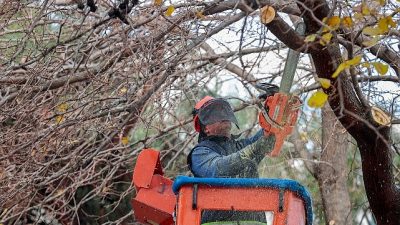 Konak Belediyesine bağlı ekipler, öğrenciler yarıyıl tatilinin tadını çıkarırken okulları