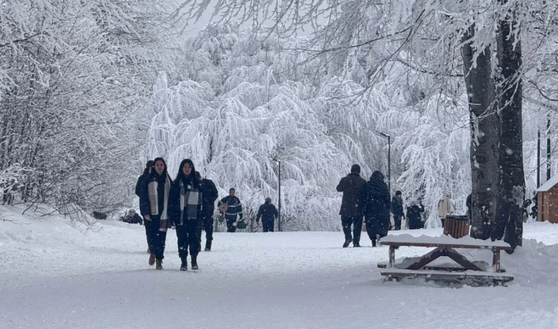 Kocaeli Büyükşehir Belediyesi’nin doğa turizmine kazandırdığı Ormanya ve Kuzuyayla, 2025