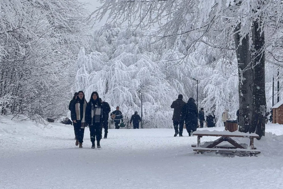 Kocaeli Büyükşehir Belediyesi’nin doğa turizmine kazandırdığı Ormanya ve Kuzuyayla, 2025