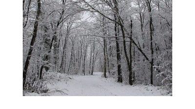 Kocaeli Büyükşehir Belediyesi’nin doğa turizmine kazandırdığı Ormanya, etkili olan kar