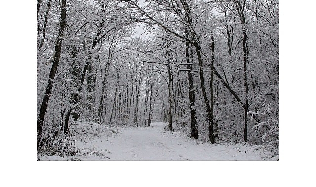 Kocaeli Büyükşehir Belediyesi’nin doğa turizmine kazandırdığı Ormanya, etkili olan kar