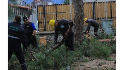 Osmangazi Belediyesi, Bursa’da sabah saatlerinden itibaren etkisini artıran lodos ve