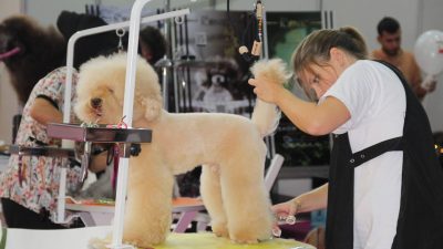 Türkiye’nin en büyük pet fuarı olma özelliğini taşıyan 9. Uluslararası