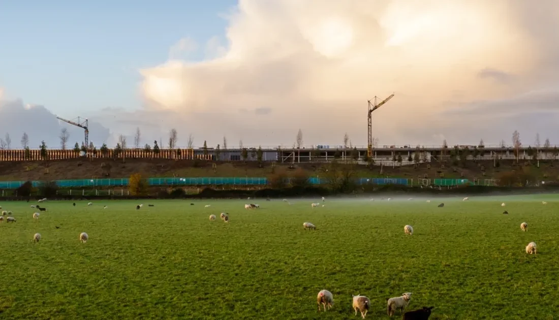 Rolls-Royce Motor Cars 2025’te Bespoke başarısını, trendleri ve yenilikleri kutluyor.