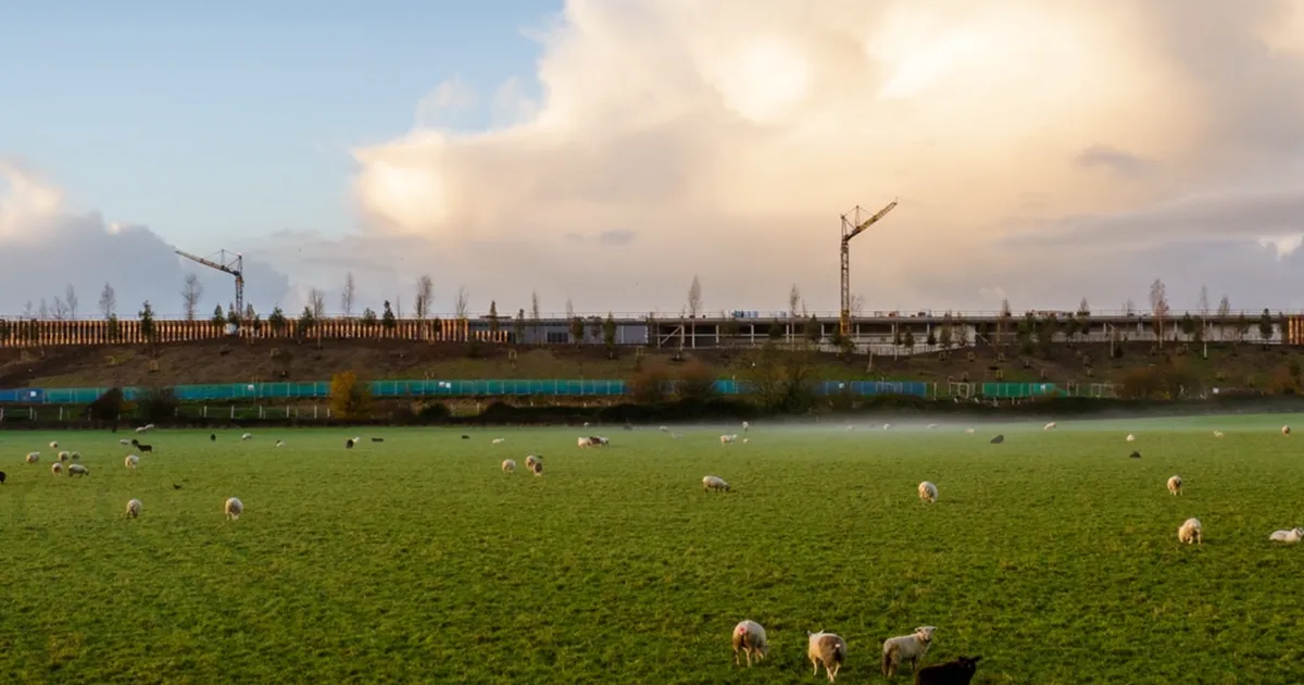 Rolls-Royce Motor Cars 2025’te Bespoke başarısını, trendleri ve yenilikleri kutluyor.