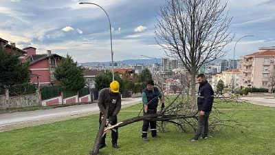 Bursa genelinde dün sabah saatleri itibariyle etkisini gösteren şiddetli lodos