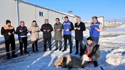 Sivas’ta etkili olan yoğun kar yağışının ardından, karın bir zahmet