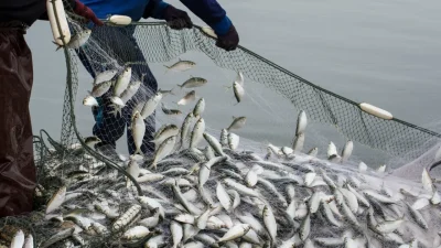 Dünya’nın üç öğün protein ihtiyacını karşılayan Türkiye su ürünleri ve