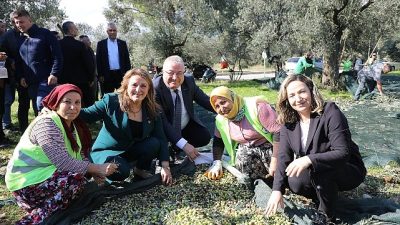 Türkiye’nin en önemli zeytin ve zeytinyağı üretim merkezlerinden biri olan