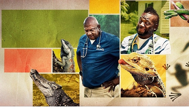 Veteriner Dostlar, Atlanta’nın 100 mil güneyinde görev yapan, uzun yıllardır