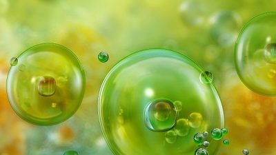 Prof. Dr. Ahmet Aydın, balık ve kabuklu deniz canlılarına bağlı