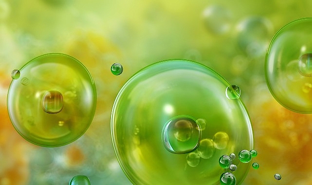 Prof. Dr. Ahmet Aydın, balık ve kabuklu deniz canlılarına bağlı