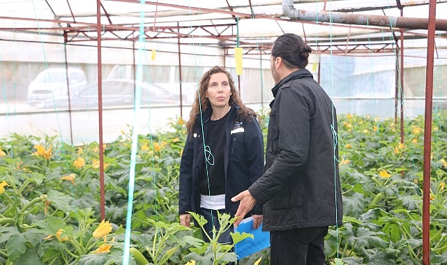Antalya Büyükşehir Belediyesi, Kumluca ve Finike ilçelerinde hortum ve fırtınadan