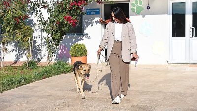 Antalya Büyükşehir Belediyesi Sokak Hayvanları Geçici Bakımevi ve Rehabilitasyon Merkezi’nde