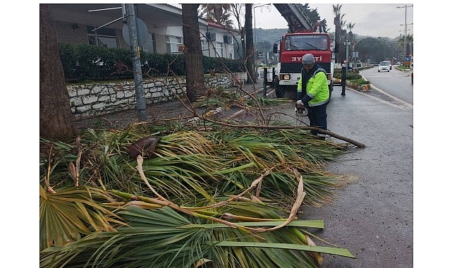 Ayvalık Belediyesi Park ve Bahçeler Müdürlüğü ekipleri, yaz kış demeden