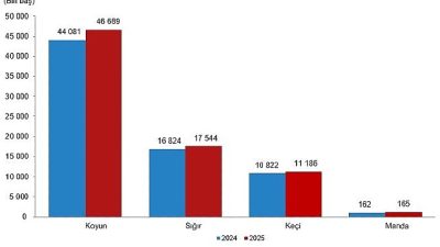 Büyükbaş hayvan sayısı bir önceki yıla göre %4,3 artarak 17