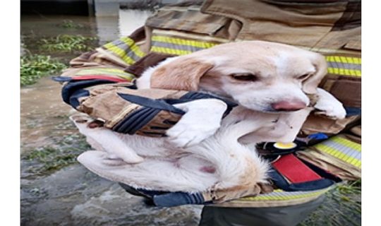 İzmir’in Torbalı ilçesinde inşaat halindeki üç katlı bir binada mahsur