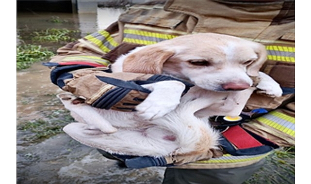 İzmir’in Torbalı ilçesinde inşaat halindeki üç katlı bir binada mahsur