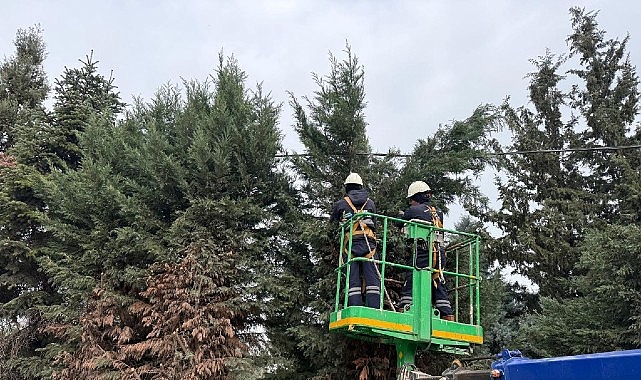 Kartepe Belediyesi, ilçe genelindeki yeşil alanların düzenlenmesi ve daha estetik