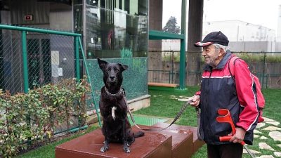 Maltepe Belediyesi, Feyzullah Mahallesi’nde bulunan yaklaşık 200 metrekarelik atıl alanı