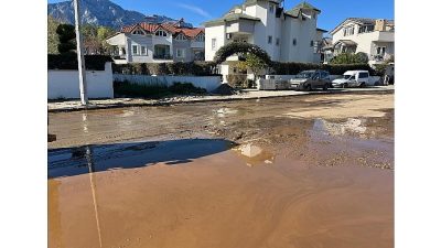 Kemer Belediyesi Park ve Bahçeler Müdürlüğü ekipleri, geçen haftalarda yaşanan