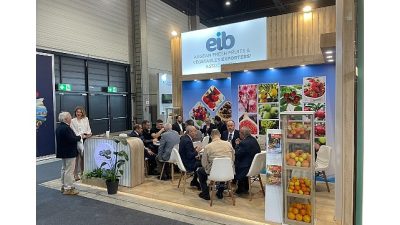 Türkiye’ye 2025 yılında 3,7 milyar dolar döviz kazandıran yaş meyve