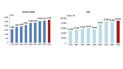 Yurt dışında kontrol edilen girişimlerin elde ettiği ciro 2024 yılında
