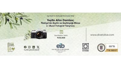 Binlerce yıldır barışın sembolü olan zeytin ağacı, Anadolu’da kök salmış