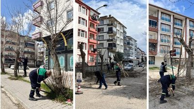Kahramankazan Belediyesi Park ve Bahçeler Müdürlüğü ekipleri, ilçe genelinde yürüttüğü