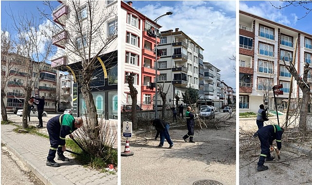 Kahramankazan Belediyesi Park ve Bahçeler Müdürlüğü ekipleri, ilçe genelinde yürüttüğü