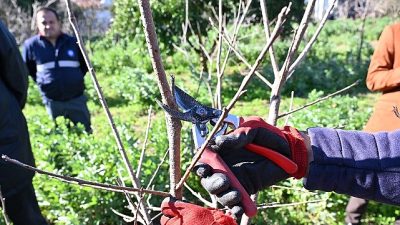 Antalya Büyükşehir Belediyesi Uncalı ATASEM Kurs Merkezi tarafından kursiyerlere uygulamalı