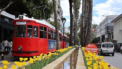 Antalya Büyükşehir Belediyesi, kendi üretimi olan lale ve mevsimlik çiçeklerle
