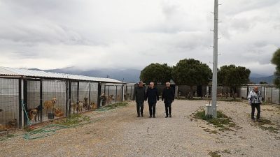 Edremit Belediye Başkanı Mehmet Ertaş, son günlerde sosyal medyada paylaşılan