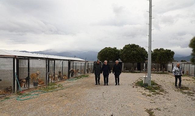 Edremit Belediye Başkanı Mehmet Ertaş, son günlerde sosyal medyada paylaşılan