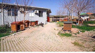 Seferihisar Belediyesi, gıda israfını azaltmak ve sokak hayvanlarının beslenmesine katkı