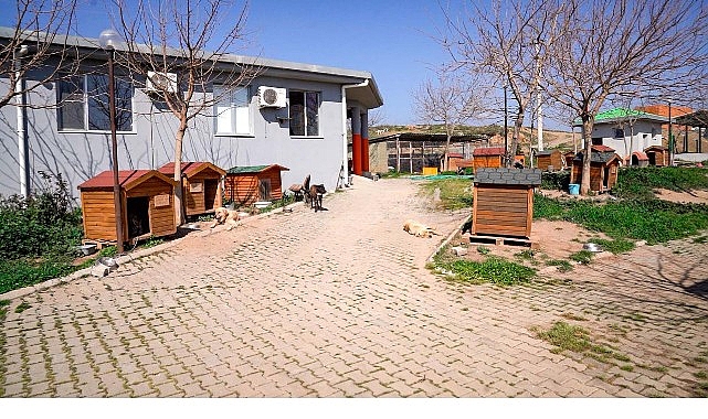 Seferihisar Belediyesi, gıda israfını azaltmak ve sokak hayvanlarının beslenmesine katkı