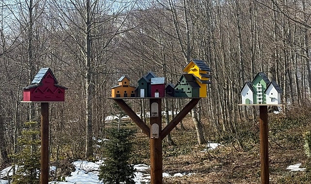 Kocaeli Büyükşehir Belediyesi, Ormanya ve Kuzuyayla’da Ramazan Bayramı hazırlıklarını tamamlandı.