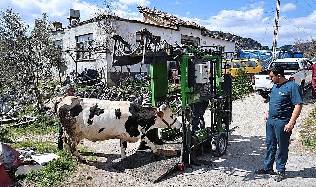 Antalya Büyükşehir Belediyesi, hayvancılıkla uğraşan üreticilere yönelik desteklerini sürdürüyor. Büyükşehir