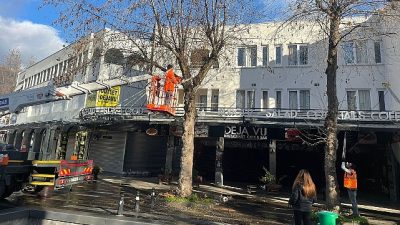Antalya Büyükşehir Belediyesi ekipleri Kemer ilçe genelinde bahar ayının gelmesiyle