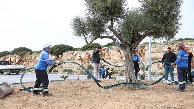 Didim’de kent estetiğini güçlendirmeye yönelik çalışmalar, Didim Belediyesi tarafından aralıksız