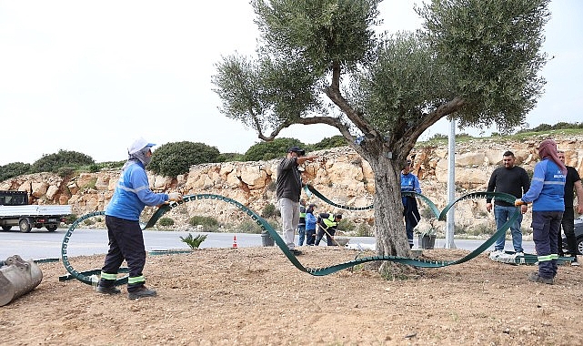 Didim’de kent estetiğini güçlendirmeye yönelik çalışmalar, Didim Belediyesi tarafından aralıksız